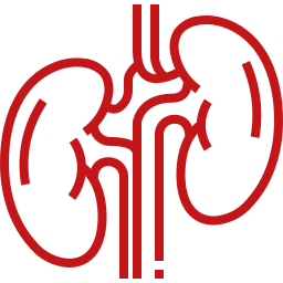 kidney health